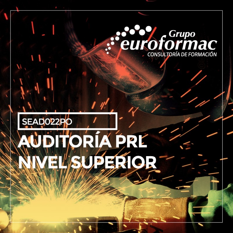 AUDITORÍA PRL - NIVEL SUPERIOR AUDITORÍA PRL - NIVEL SUPERIOR