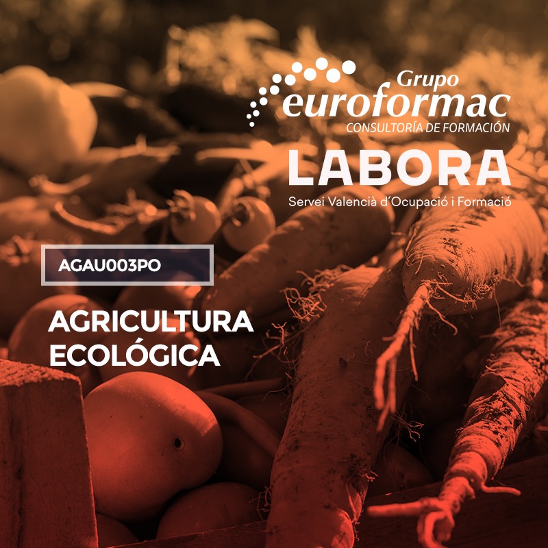 AGRICULTURA ECOLÓGICA AGRICULTURA ECOLÓGICA