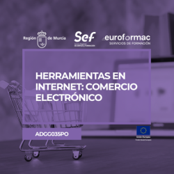 HERRAMIENTAS EN INTERNET: COMERCIO ELECTRÓNICO