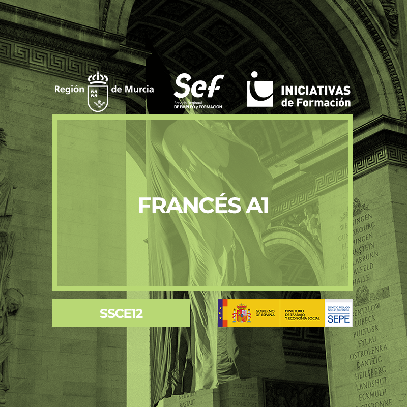 FRANCÉS A1 FRANCÉS A1