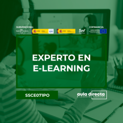 EXPERTO EN E-LEARNING
