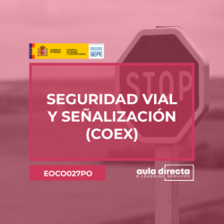 SEGURIDAD VIAL Y SEÑALIZACIÓN (COEX)
