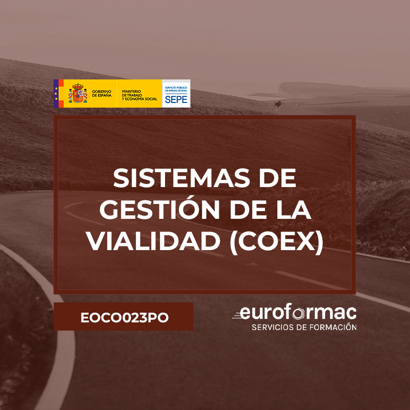 SISTEMAS DE GESTIÓN DE LA VIALIDAD (COEX)