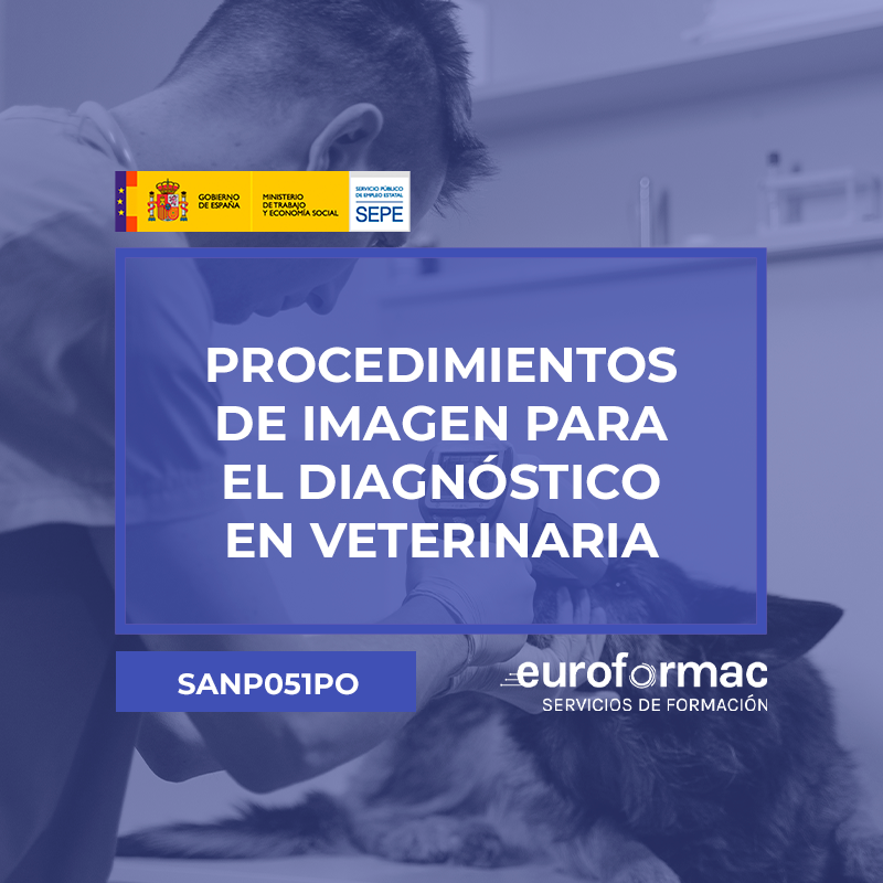 PROCEDIMIENTOS DE IMAGEN PARA EL DIAGNÓSTICO EN VETERINARIA PROCEDIMIENTOS DE IMAGEN PARA EL DIAGNÓSTICO EN VETERINARIA