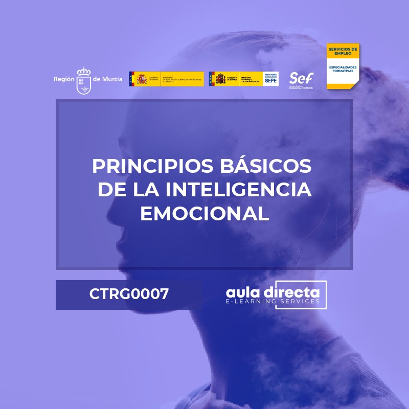 PRINCIPIOS BÁSICOS DE LA INTELIGENCIA EMOCIONAL