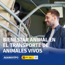 AGAN001PO - BIENESTAR ANIMAL EN EL TRANSPORTE DE ANIMALES VIVOS
