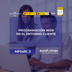 PROGRAMACIÓN WEB EN EL ENTORNO CLIENTE