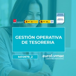 MF0979_2: GESTIÓN OPERATIVA DE TESORERÍA