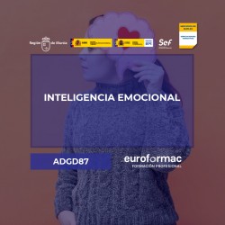 INTELIGENCIA EMOCIONAL