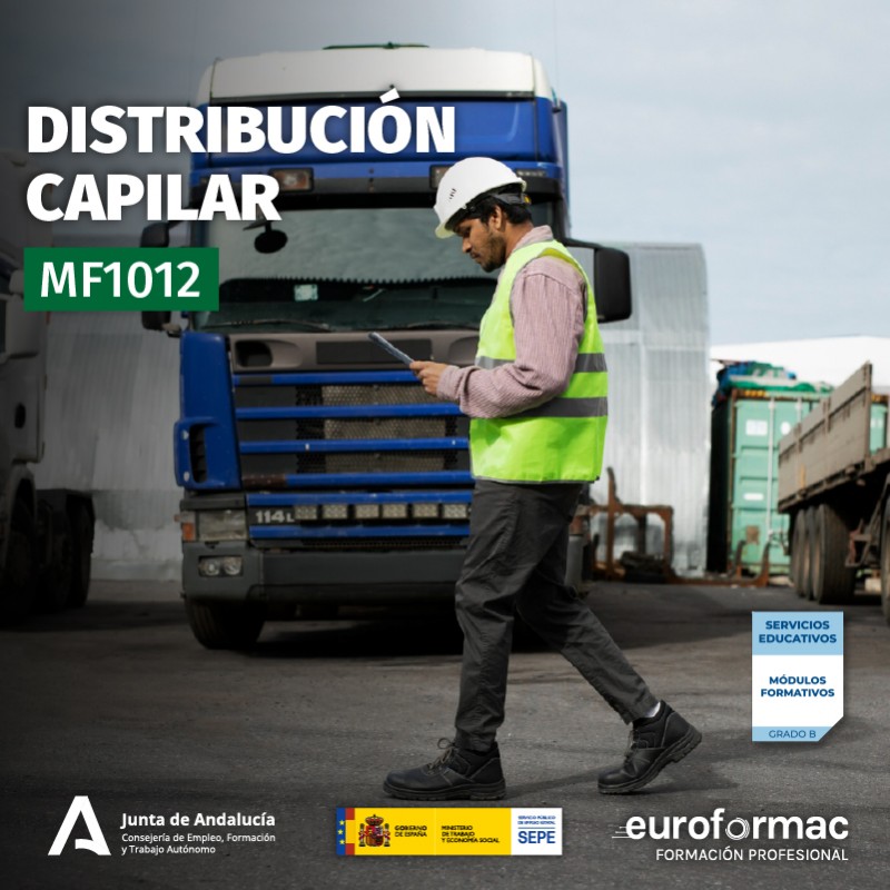 MF1012 - DISTRIBUCIÓN CAPILAR