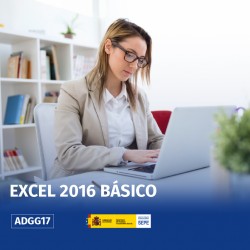 ADGG17 - EXCEL BÁSICO 2016 (ACCESIBLE)