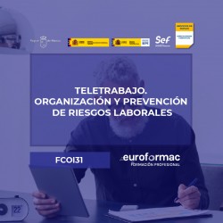 TELETRABAJO. ORGANIZACIÓN Y PREVENCIÓN DE RIESGOS LABORALES
