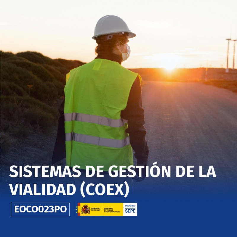 EOCO023PO - SISTEMAS DE GESTIÓN DE LA VIALIDAD (COEX)