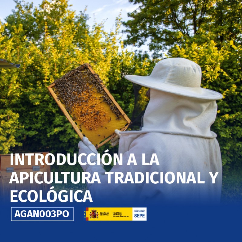 AGAN003PO - INTRODUCCIÓN A LA APICULTURA TRADICIONAL Y ECOLÓGICA