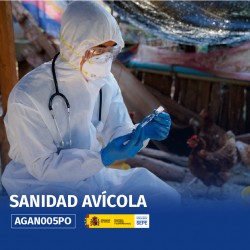AGAN005PO - SANIDAD AVÍCOLA