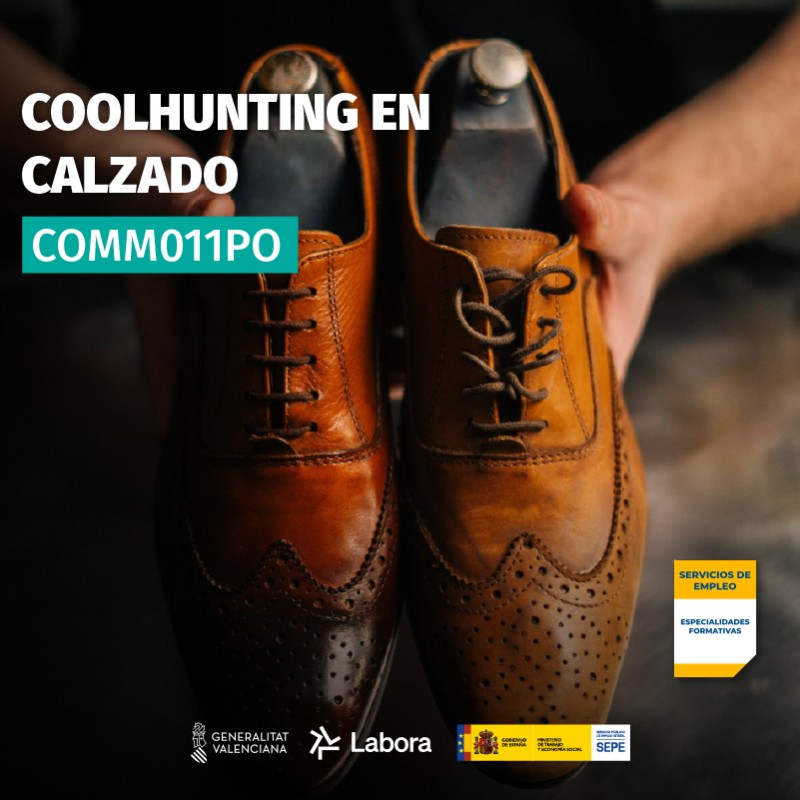 COMM011PO - COOLHUNTING EN CALZADO