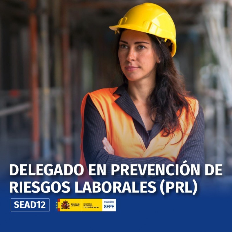 SEAD12 - DELEGADO EN PREVENCIÓN DE RIESGOS LABORALES (PRL)