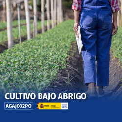 AGAJ002PO - CULTIVO BAJO ABRIGO