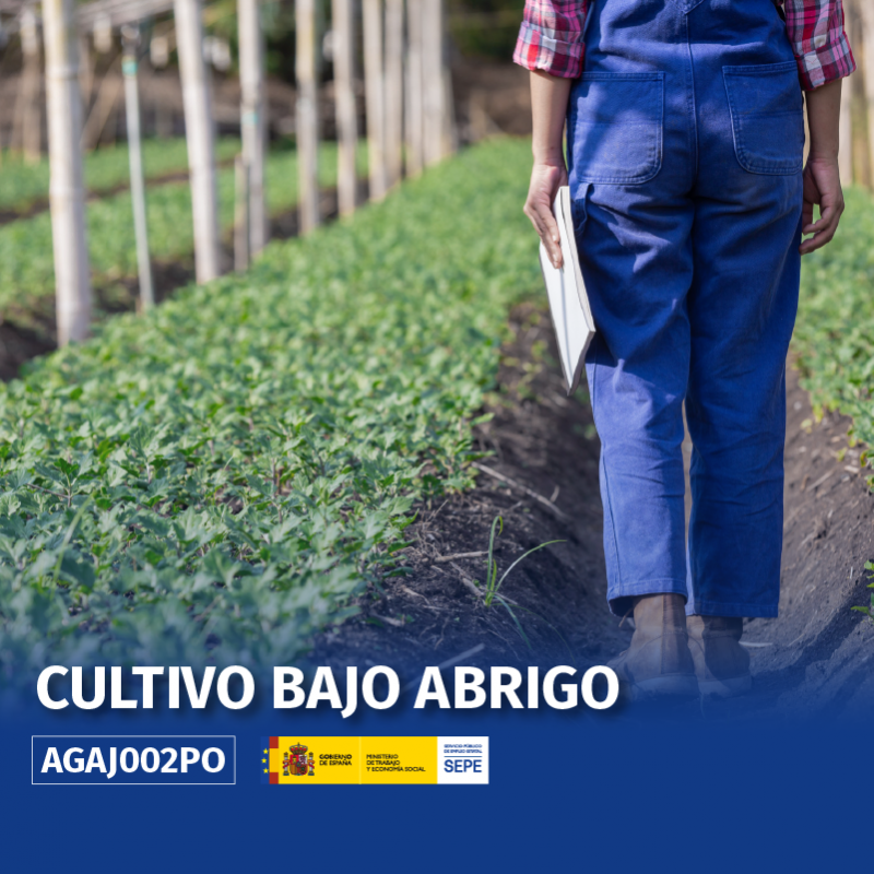 AGAJ002PO - CULTIVO BAJO ABRIGO