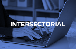 Cursos Gratis Intersectorial