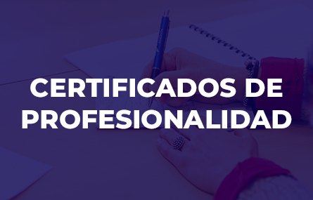Cursos Gratis Certificados de Profesionalidad en Murcia