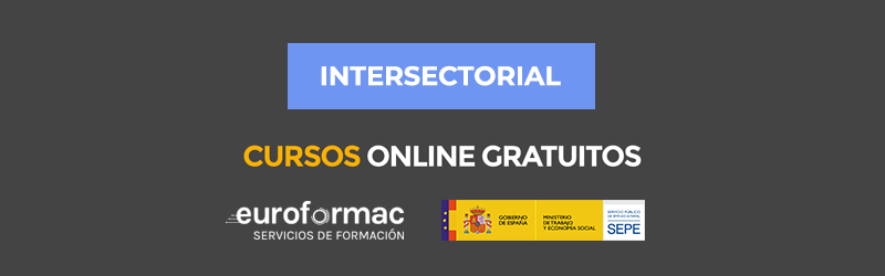 cursos intersectorial